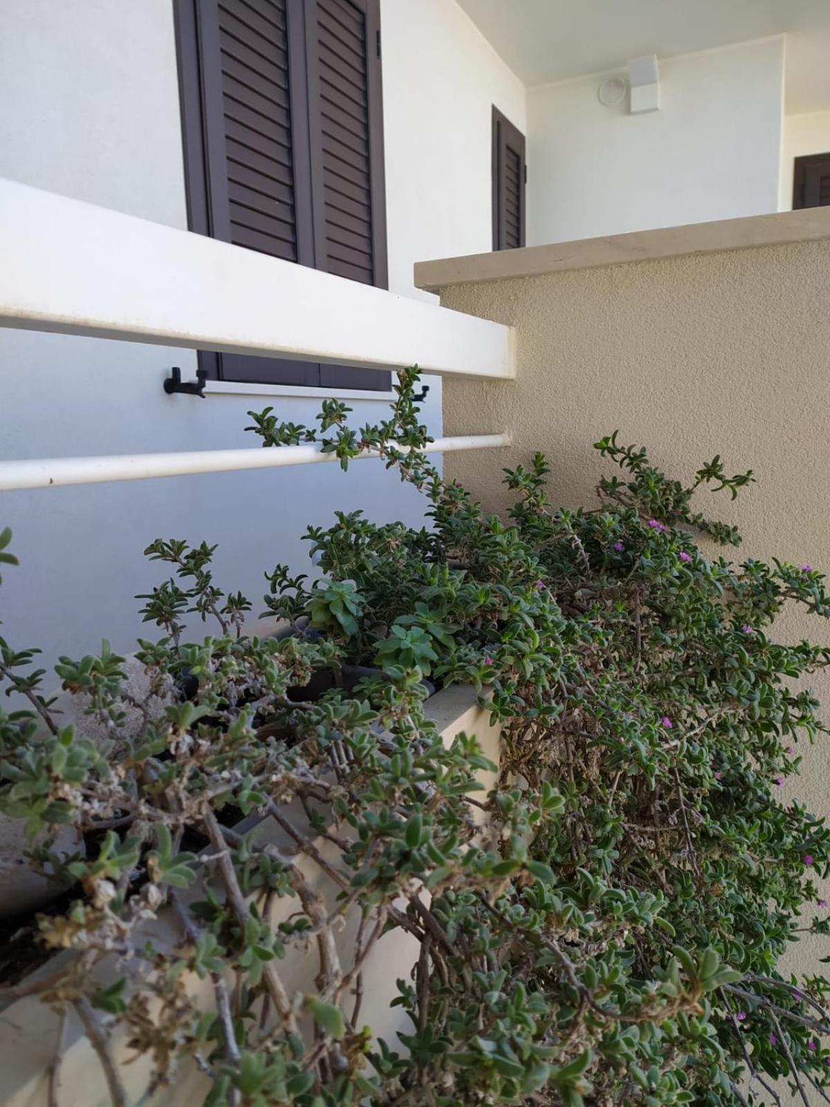 Le Colonie Apartments Porto Cesareo Luaran gambar